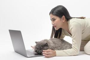 A Scottish fold lovely cats lying on  young woman hand while working with laptop computer on white studio background photo