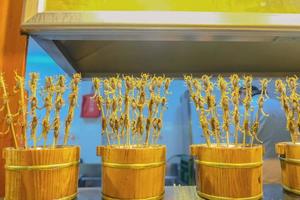 comida callejera de escorpión frito en la calle peatonal de wangfujing y comida callejera en la ciudad de beijing, viajes a china foto