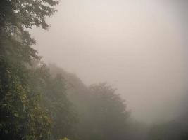 MountainScape on Tianzishan mountain in Zhangjiajie National Forest Park in Wulingyuan District Zhangjiajie china in the Foggy day photo