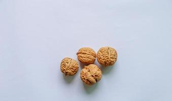 Group of dried walnuts. photo