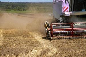 Combine harvester working on a wheat field. photo
