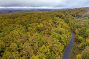 Autumn colorful forest. Aerial view from a drone over road between autumn trees in the forest. photo