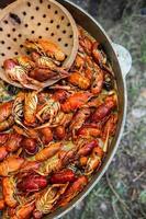 Boiled red crayfish or crawfish with herbs. Crayfish boiling in the pot on the fire photo