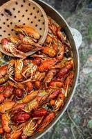 Boiled red crayfish or crawfish with herbs. Crayfish boiling in the pot on the fire photo