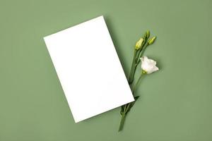 Template paper with plant shadow on pastel green background , great design for any purposes. Abstract background. Banner template. Advertising photo