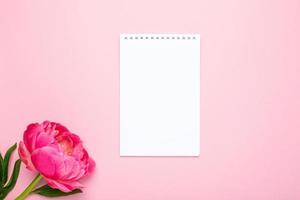 Beautiful pink peony flower and notebook with copy space for your text on pastel pink background photo