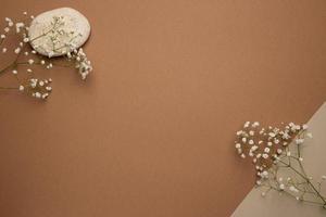 Dry flower branch and stone on a light brown background. Trend, minimal concept with copyspace photo