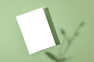 Template paper with plant shadow on pastel green background , great design for any purposes. Abstract background. Banner template. Advertising photo