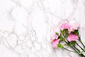 Pink flowers carnations on marble table top view and flat lay style. photo