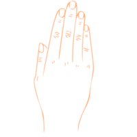 Fingers Line Art png