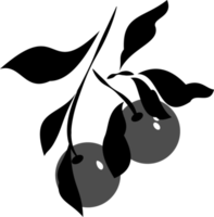 Digital drawing of a group of leaves with two cherries in black and gray color png