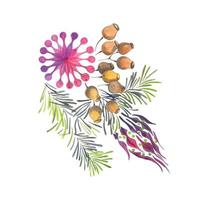 ramas de abeto de pino con conos y flores elemento de diseño decorativo ilustración acuarela dibujada a mano vector
