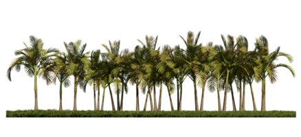 Imagen de renderizado 3ds de la vista frontal de palmeras en el campo de pastos. png