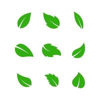 Leaves icon set isolated on white background. vector