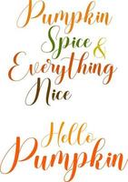 hello pumpkin spice and everything nice autumn hand drawn lettering set, phrase or slogan design vector