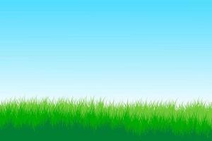 pradera. pradera de hierba con fondo de cielo azul vector