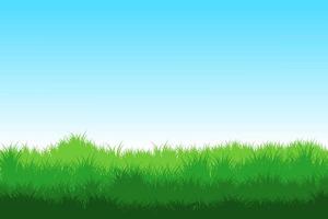 grass field. grass background vector