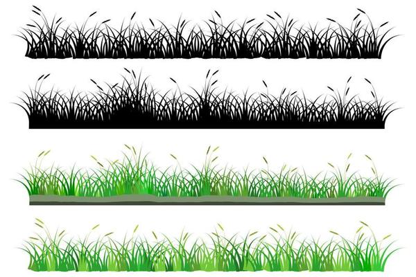 grass. reeds grass set