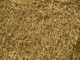 hay texture overlay vector