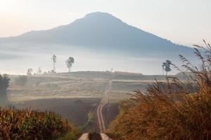 camino de tierra que conduce a través del bosque de principios de primavera en una mañana nublada en el punto de vista de khao takhian ong en khao-kho phetchabun, tailandia foto