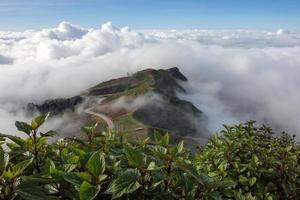 Landscape mist and beautiful mountain scenery in Phutabberk Phetchabun, Thailand photo