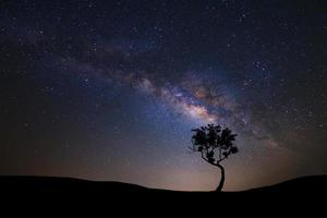 Landscape silhouette of tree with milky way galaxy and space dust in the universe, Night starry sky with stars photo