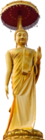 statue de Bouddha isolée