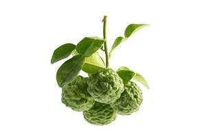 Fresh bergamot or kaffir lime with leaf isolate on white background with clipping path, vegetable herb for cook and health. photo