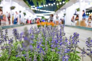 cerrar flor violeta púrpura en el mercado callejero foto