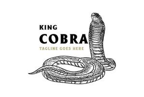 dibujo a mano vintage rey cobra o serpiente mamba negra para el diseño del logotipo del tatuaje vector