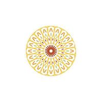 mandala design with abstract shape vector