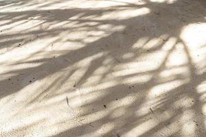 Beautiful sandy beach by the sea with beautiful sky rooms and shadows of coconut palms. Shadow of a palm tree at the balinese beach photo