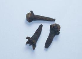 Cloves are the aromatic flower buds of a tree in the family Myrtaceae, Syzygium aromaticum. photo