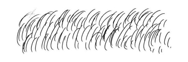 Doodle-drawn hairs wool. Hand-drawn jagged slender small rounded shapes. Horizontal background texture isolated on white. vector