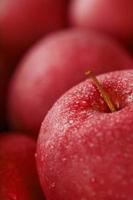 fondo de manzanas rojas maduras y jugosas, perspectiva desde arriba. foto