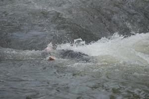 dummy drowning victim photo