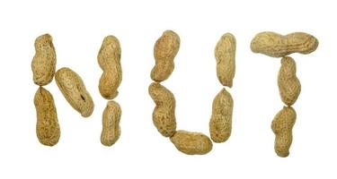 word nuts spelled with peanut seeds isolated on white background photo