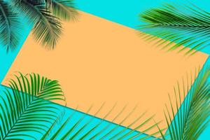 Green palm leaves pattern for nature concept,tropical leaf on orange and teal paper background photo