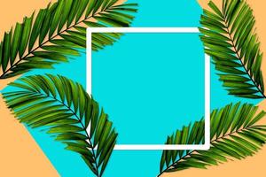 patrón de hojas de palma verde para el concepto de naturaleza, hoja tropical sobre fondo de papel naranja y verde azulado foto