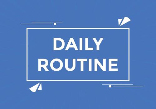 Daily routine button. Daily routine Colorful label sign template. speech bubble vector