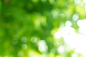 natural green bokeh abstract background,blurred textured photo