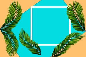 Green palm leaves pattern for nature concept,tropical leaf on orange and teal paper background photo