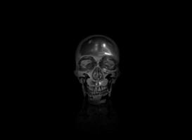 metalized steel skull made of iron. 3d render photo