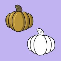 A set of pictures, a large orange ripe pumpkin, a vector illustration in cartoon style on a colored background