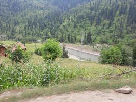 Kashmir is the most beautiful region in the world which is famous for its green valleys, beautiful trees, high mountains and flowing springs. photo