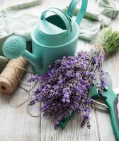 Seasonal pruning of lavender. photo