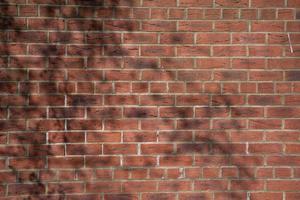 Brick wall of red color with light and shadow of branches leaves, English Vintage Texture of old dark brown wall wide panoramic background photo