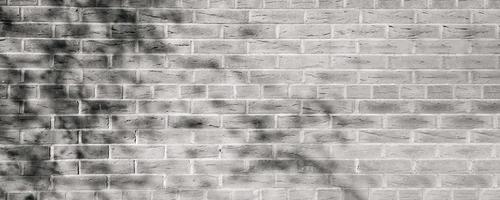 pared de ladrillo blanco y negro con luz y sombra de fondo de hojas de ramas, textura vintage de pared antigua en imagen de fondo panorámica amplia para uso en diseño de banner web foto