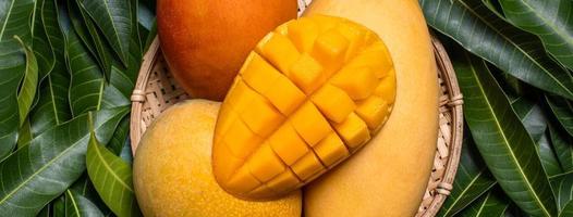 Mango, tropical fruit, in a bamboo wooden sieve basket on green leaf background, top view, full frame, beautiful, ripe harvest design concept. photo