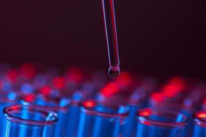 fila de tubos de ensayo. concepto de laboratorio médico o científico, gota líquida con cuentagotas en fondo de tono rojo azul, primer plano, fotografía macro. foto